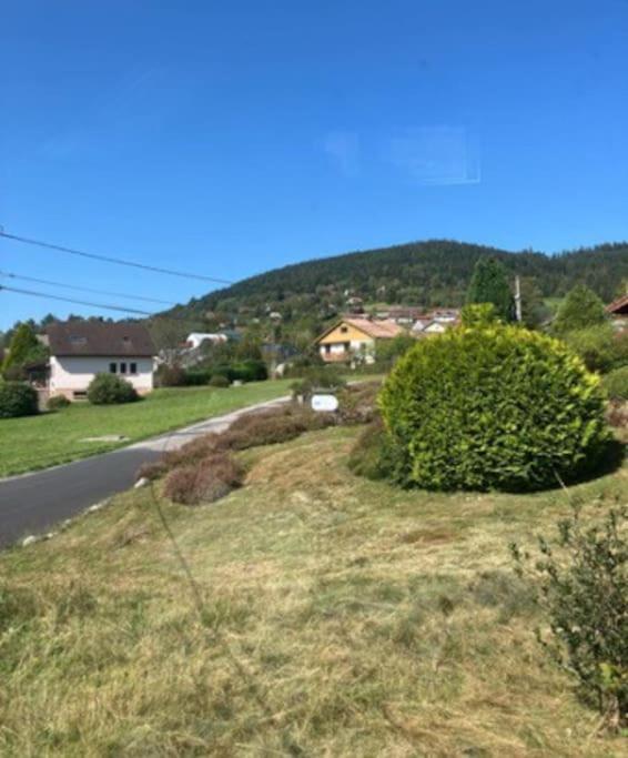 Les Deux Maisons - Little Green - Maison Cosy Proche Pistes Et Lac Gérardmer Eksteriør billede